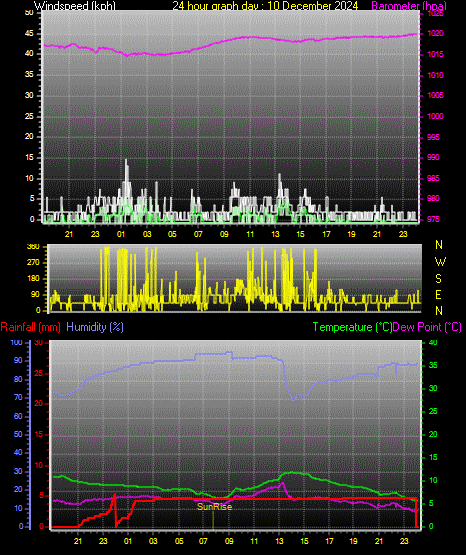 24 Hour Graph for Day 10