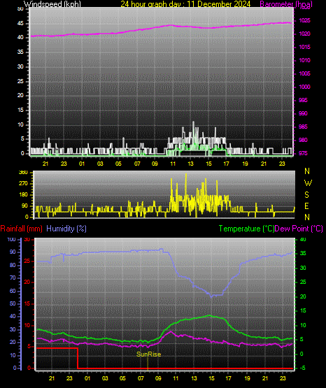24 Hour Graph for Day 11