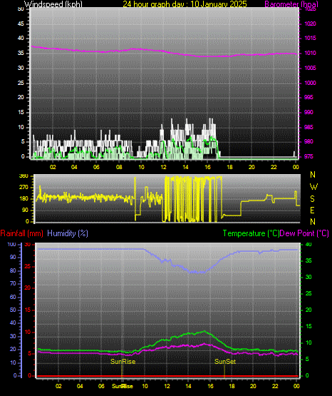 24 Hour Graph for Day 10