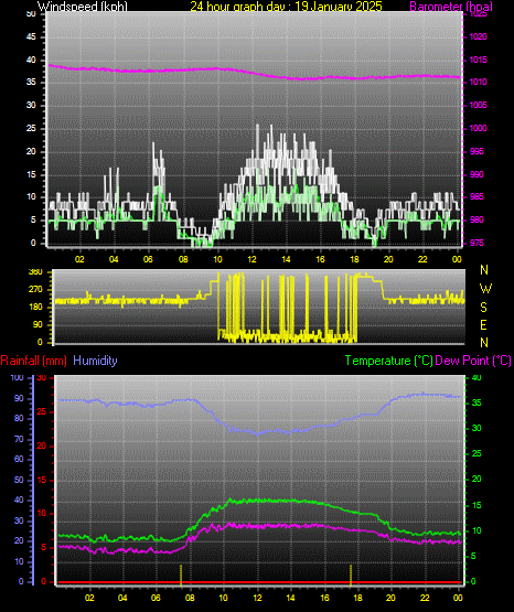 24 Hour Graph for Day 19