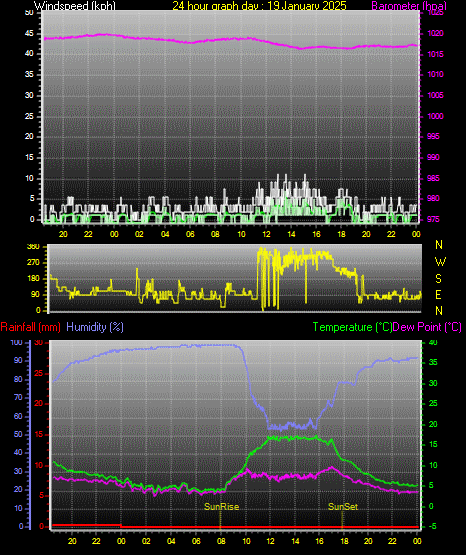 24 Hour Graph for Day 19