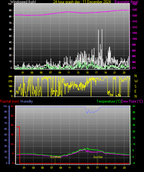24 Hour Graph for Day 11