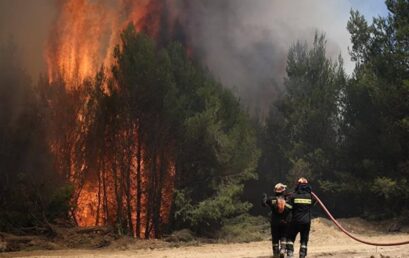 Μεγάλη φωτιά στην Ηλεία: Καίγεται το προστατευόμενο δάσος της Στροφυλιάς