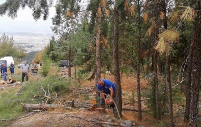 Διακεκριμένος Δασολόγος για το Σέιχ Σου: ” Πολύ δύσκολο πλέον να γίνει κάτι ”