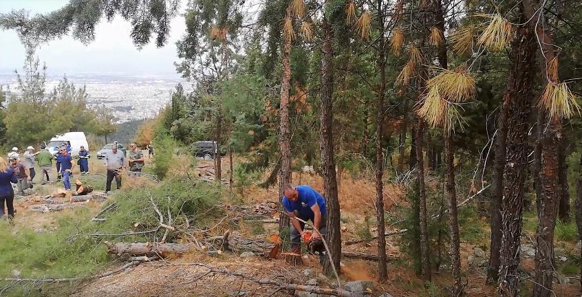 Διακεκριμένος Δασολόγος για το Σέιχ Σου: ” Πολύ δύσκολο πλέον να γίνει κάτι ”