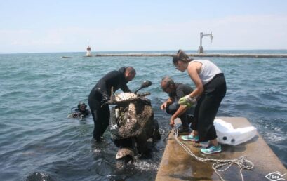 Θερμαϊκός: Μηχανάκια, πατίνια, ακόμη και… λάπτοπ ανέσυραν από τον βυθό!