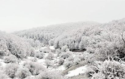 Στα λευκά τα προάστια της Θεσσαλονίκης-φωτό