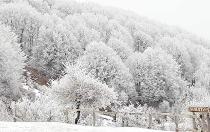 Χιόνισε στο Νυμφαίο