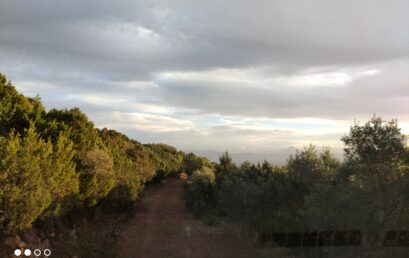 ΑΤΤΙΚΗ: Βελτιωμένος καιρός – δυτικοί άνεμοι