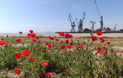 ΑΤΤΙΚΗ: Ηλιοφάνεια- ασθενείς άνεμοι