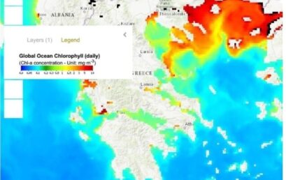 Στα κόκκινα η Χαλκιδική-Βόρειο Αιγαίο -τεράστιες συγκεντρώσεις πλανκτόν