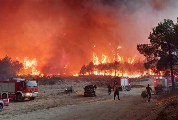 Ανεπανόρθωτη Καταστροφή στο δάσος Δαδιά στον Έβρο!